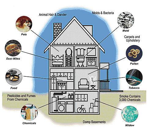 Contributing Factors: Indoor Air Quality - United Filter