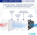 20x25x1 Carbon Pleated Furnace Filter | Odour & VOC Reduction | Activated Carbon HVAC Filter — Case of 6 | Made in Canada